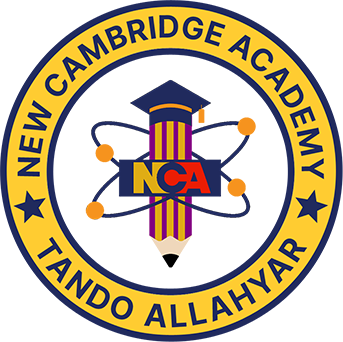New Cambridge Academy